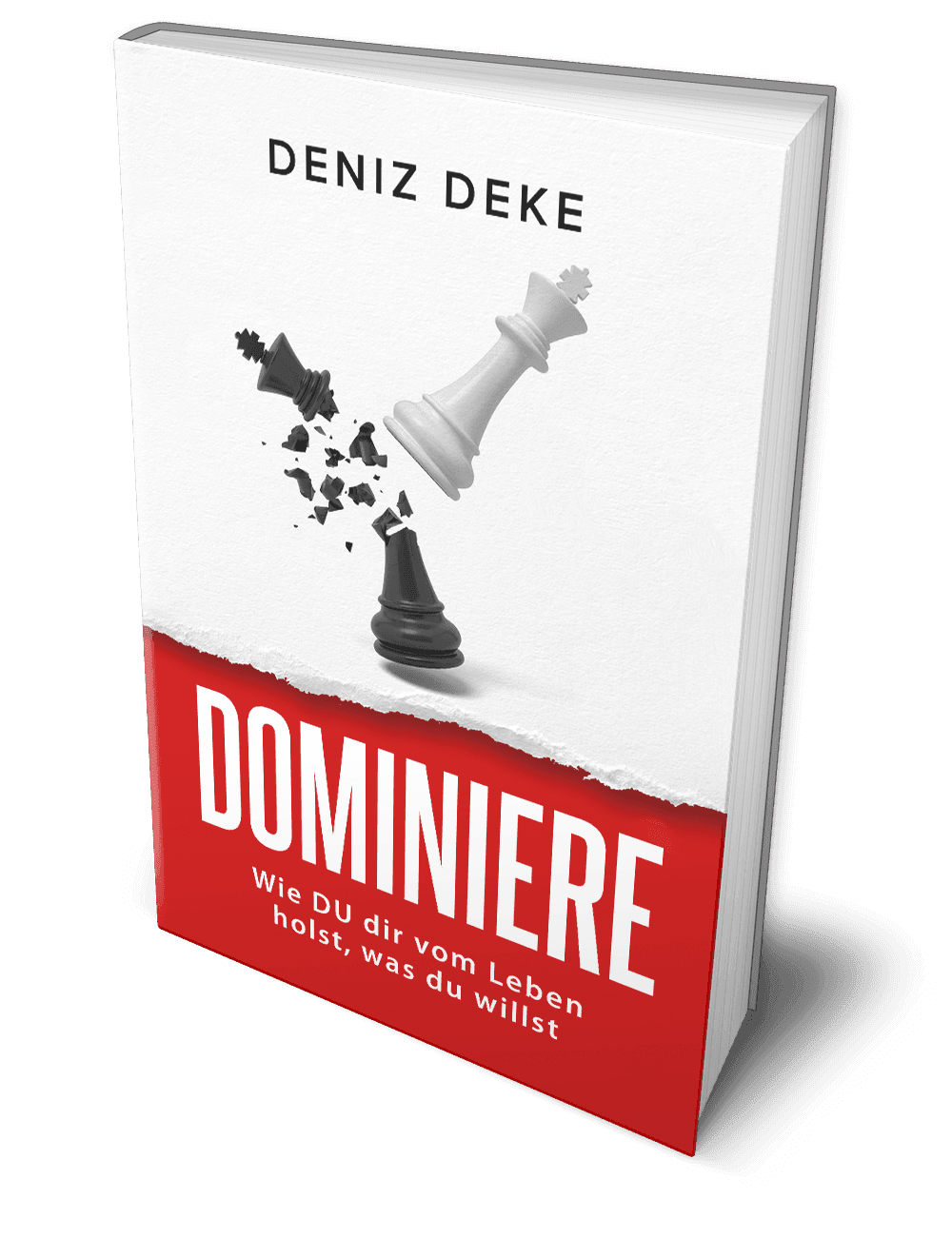 Dominiere dein Leben: Wenn der Schmerz plötzlich zur Antwort wird